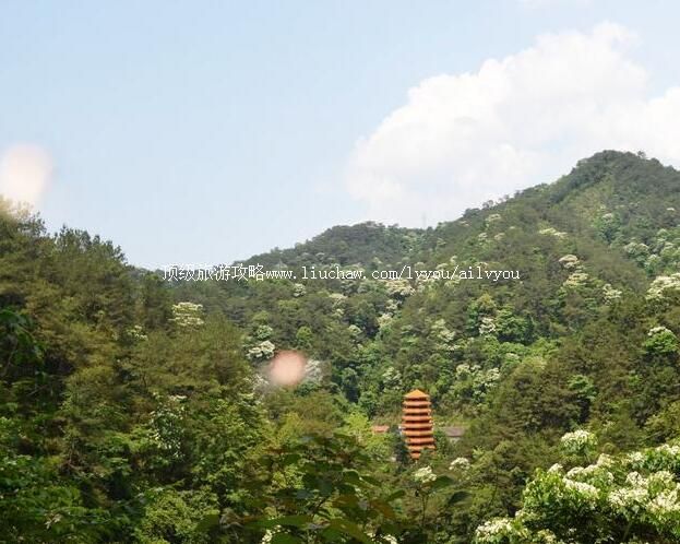 2A河源水坑生态旅游娱乐区旅游攻略