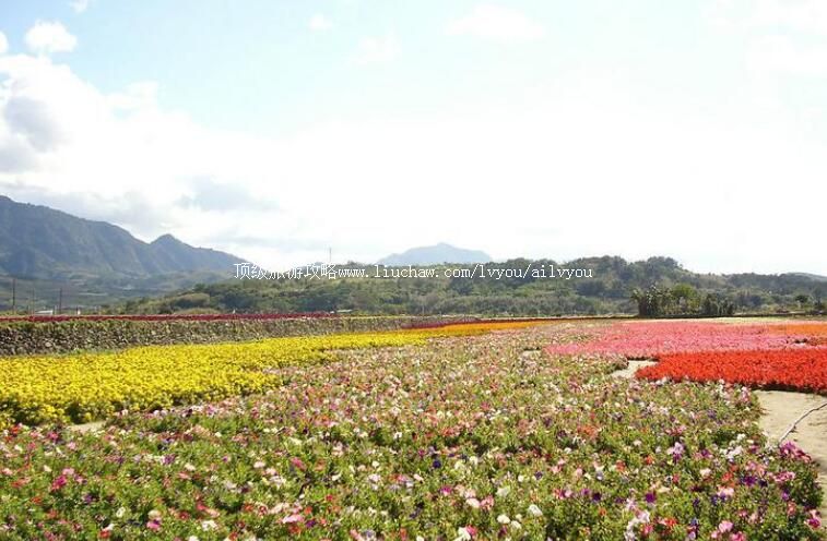 台湾花莲花东纵谷国家风景区旅游攻略