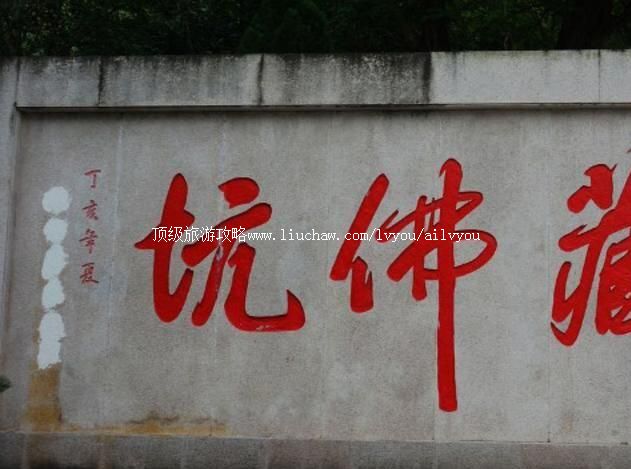 �ط�����ι���