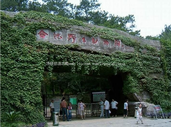 4A合肥野生动物园旅游攻略