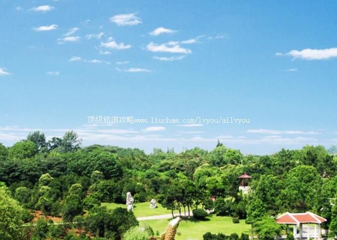 �Ϸ�ֲ��԰���ι���