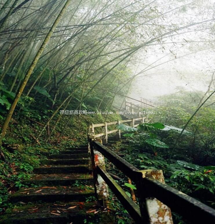 ̨���������羰�����ι���