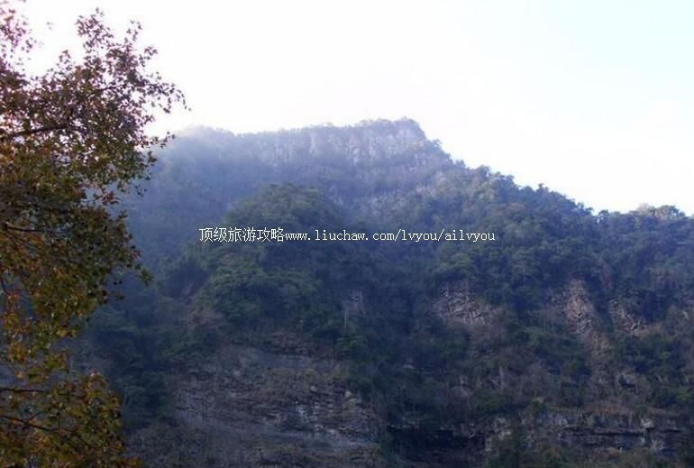 ̨����ׯʯ�ڲ������ι���