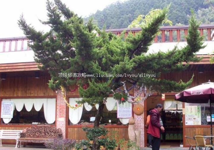 ̨����ׯ���԰��������ι���