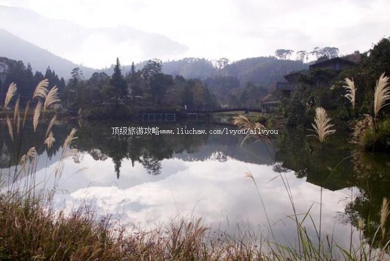 ̨����ׯ��������ι���