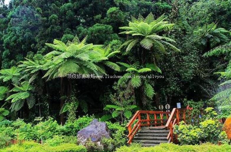 ̨��Ϫͷɭ�ֹ�԰��Ϫͷ��Ȼ����԰�������ι���