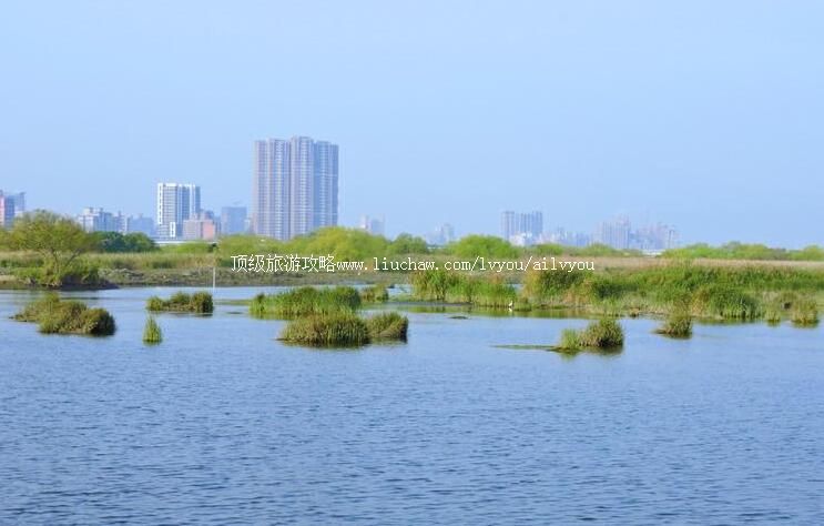 台湾台北华江雁鸭自然公园旅游攻略