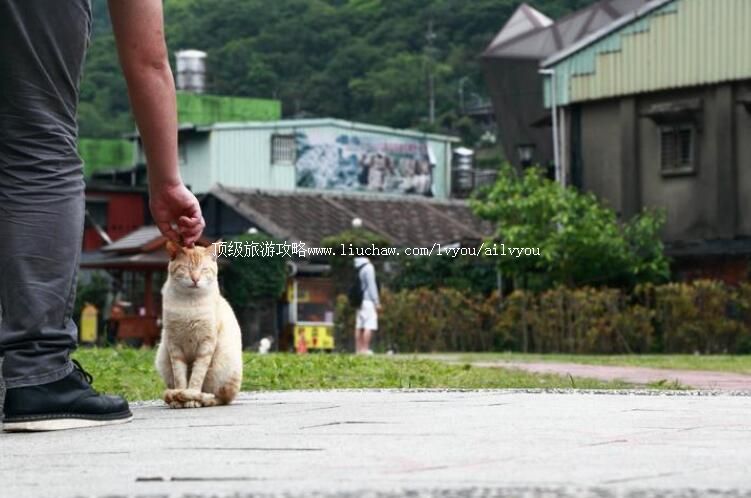 台湾猴硐猫村旅游攻略