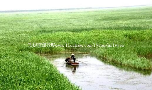 5A河北保定白洋淀旅游攻略