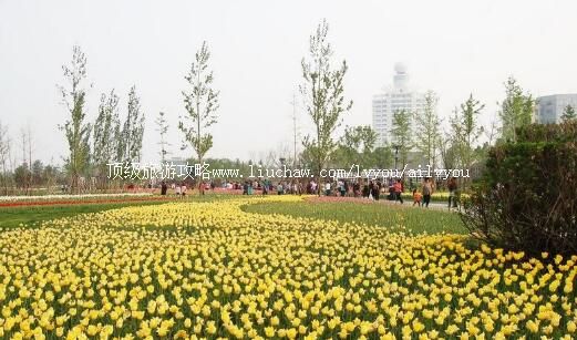 �ӱ���������ֲ��԰���ι���