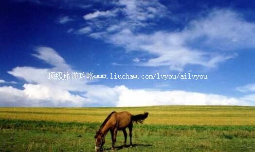 4A河北丰宁坝上草原旅游攻略