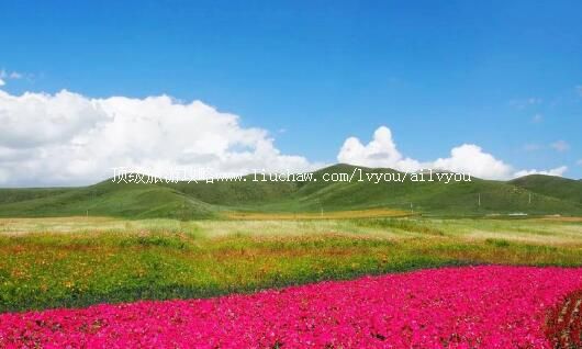 4A河北丰宁七彩森林旅游攻略