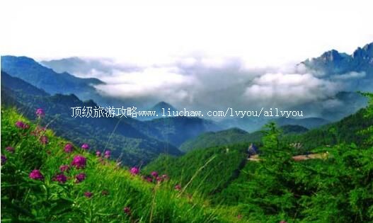 河北雾灵山自然保护区旅游攻略