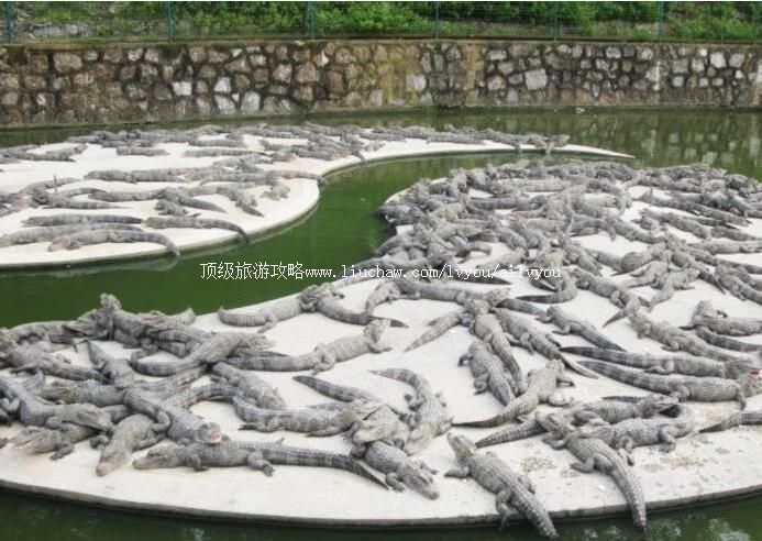 �������������Ҽ���Ȼ���������ι���