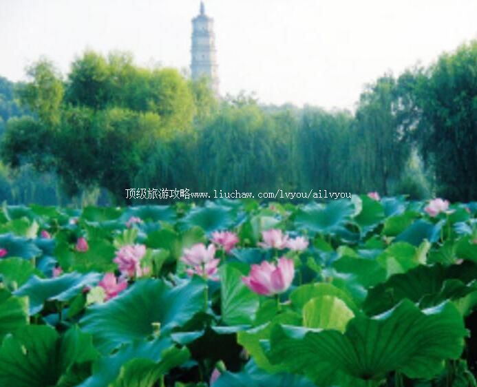 池州百荷公园旅游攻略