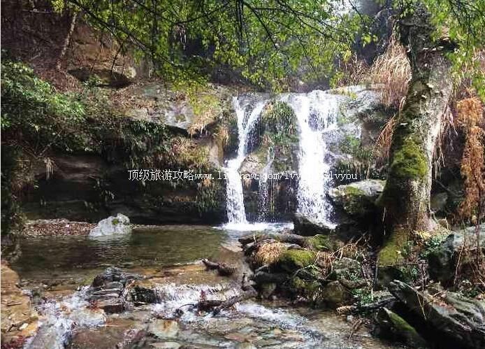 4A����������Ԣ�������ι���