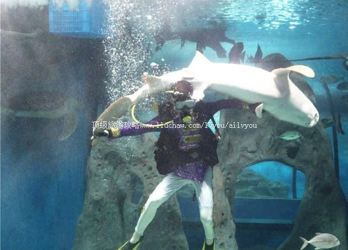 4A六安梦幻海洋大世界旅游攻略