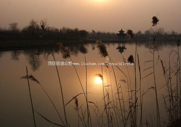 4A阜阳生态乐园旅游攻略