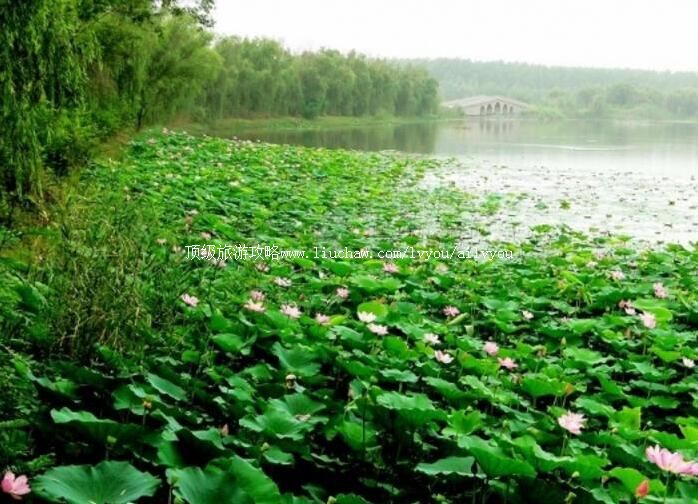 3A阜阳颖州西湖风景区旅游攻略