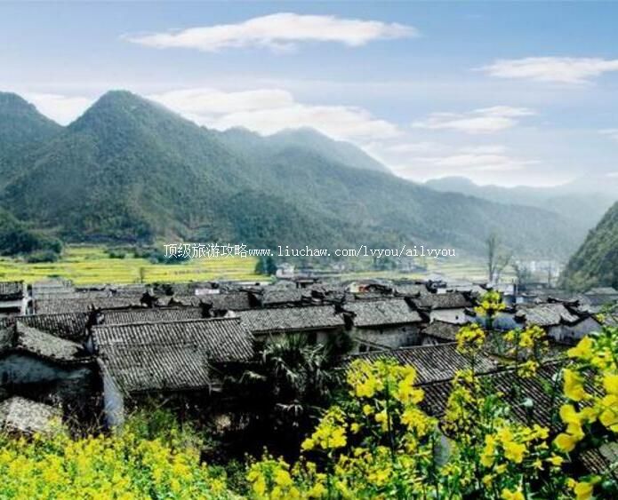 4A��ţ����Ϫ�������ι���