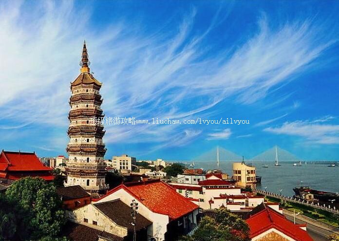 ����ӭ�������ι���