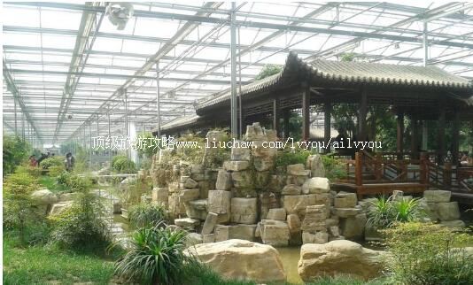 �ӱ��ȷ��������й����ι���