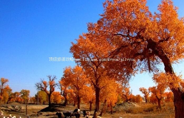 2A������������ɽ��̬���������ι���