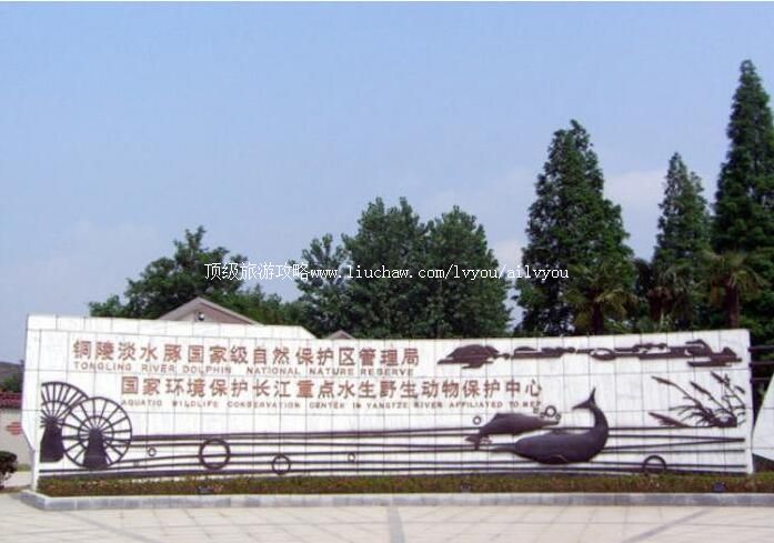 ͭ�국ˮ����Ҽ���Ȼ���������ι���