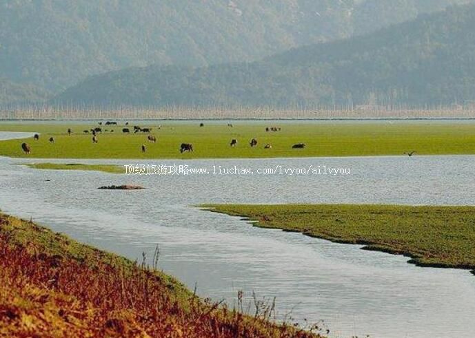 ������Ѻ�ʪ�ع�԰���ι���