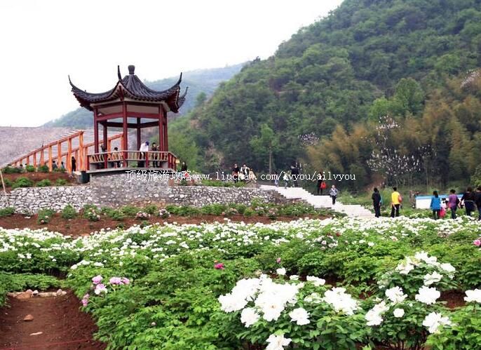 2Aͭ����ɽ�羰�����ι���