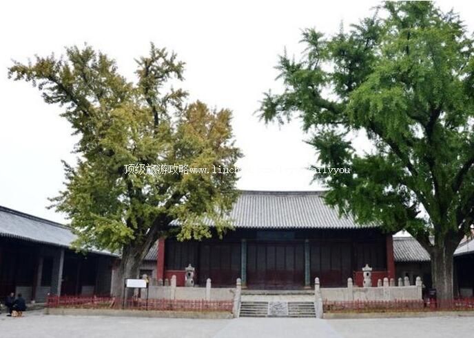 ���ؿ������ι���