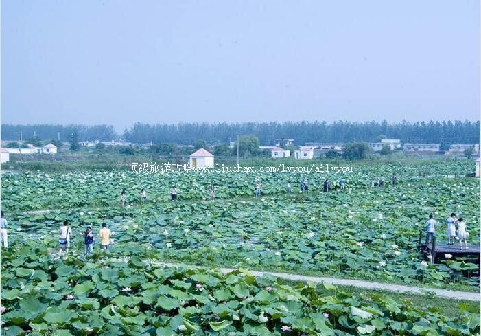 4A���Ͻ��ں�����ʪ�ع�԰���ι���