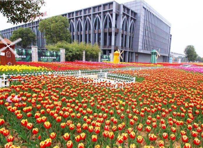 4A芜湖大浦乡村世界旅游攻略