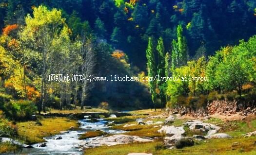 3A吕梁苍儿会旅游景区旅游攻略