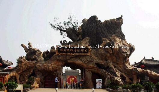 5A�鶴����Ѱ������԰���ξ������ι���