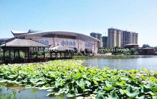 4A���ֽ�԰��԰���ι���