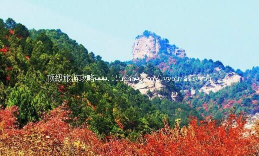 4A�ٷ�����ɽ�������ι���