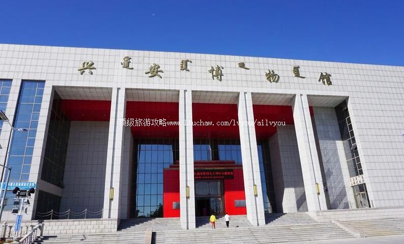 ���ɹ��˰���������ι���