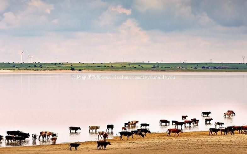 3A�˰��˿������캲���������ι���