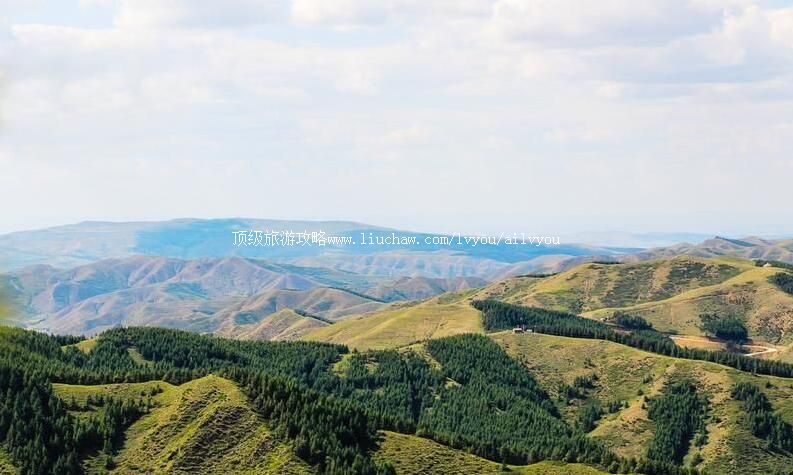 4A�����첼��ľɽ���������ι���