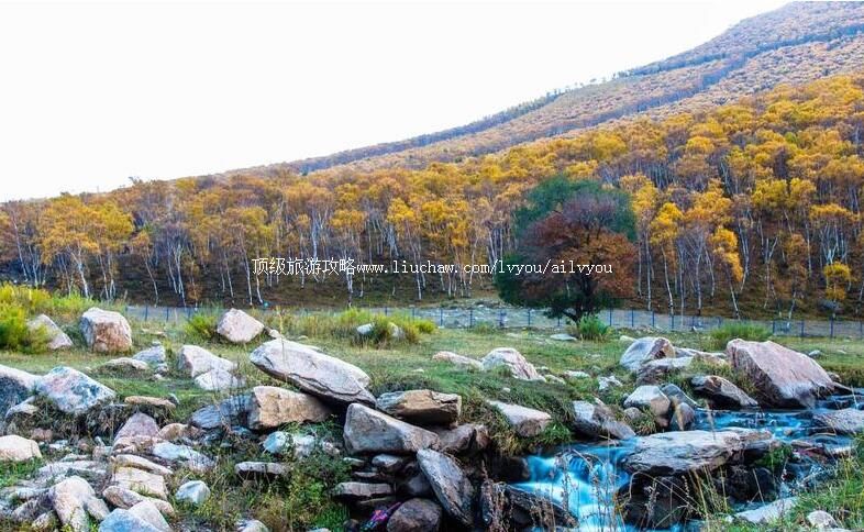 4A���پ�������̬���������ι���