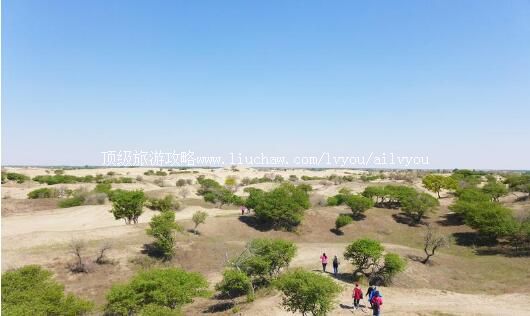 3A���ɹŲݸ�ɳĮ�羰�����ι���