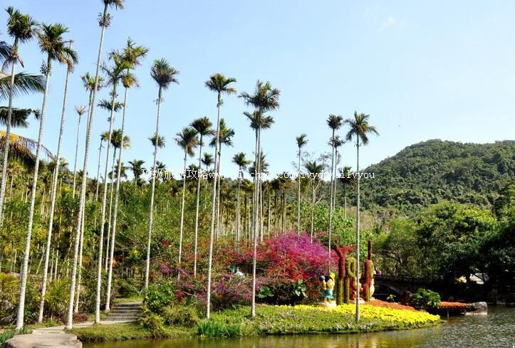 5A海南三亚呀诺达热带雨林旅游攻略