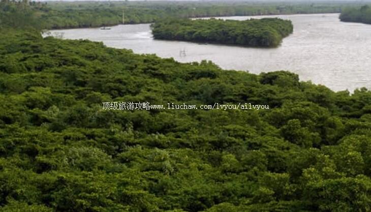 海南八门湾红树林旅游攻略