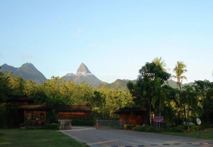 海南尖峰岭热带雨林旅游攻略