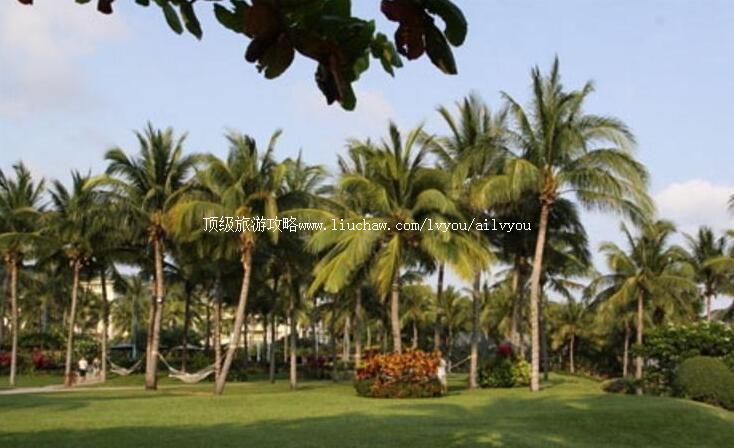 2A��������Ҭկũ�������ι���