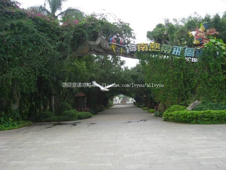 2A�����ȴ������������ι���