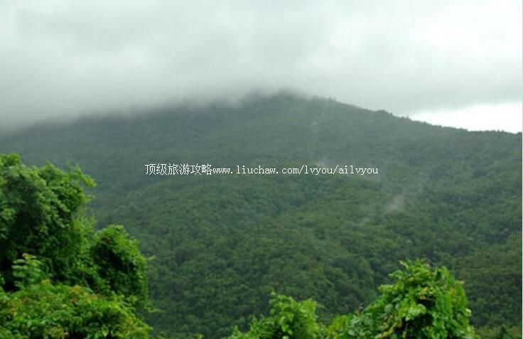 3A���ϰ��������ɭ�ֹ�԰���ι���