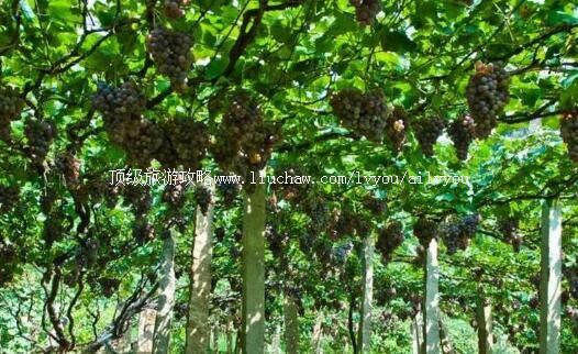 3A�ӱ��ػʵ��������ѹ����ι���