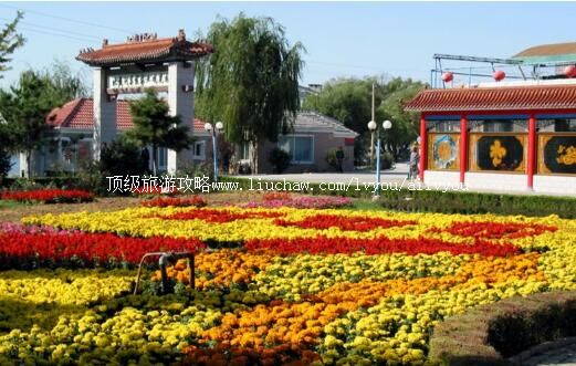 4A河北秦皇岛集发农业观光园旅游攻略